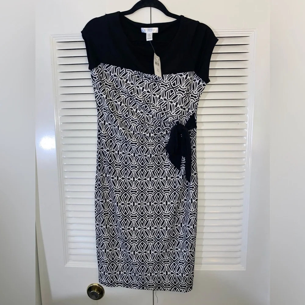 Motherhood Maternity Dress
